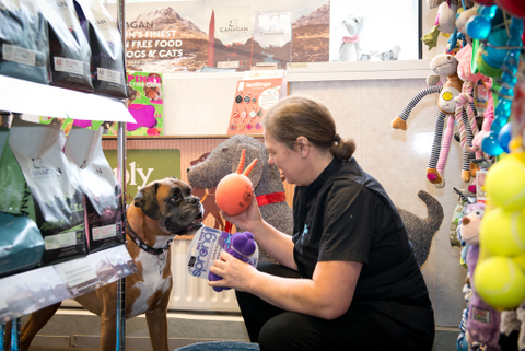 images/timelinephotos/Open%20Dog%20Boutique.jpg#joomlaImage://local-images/timelinephotos/Open Dog Boutique.jpg?width=480&height=321